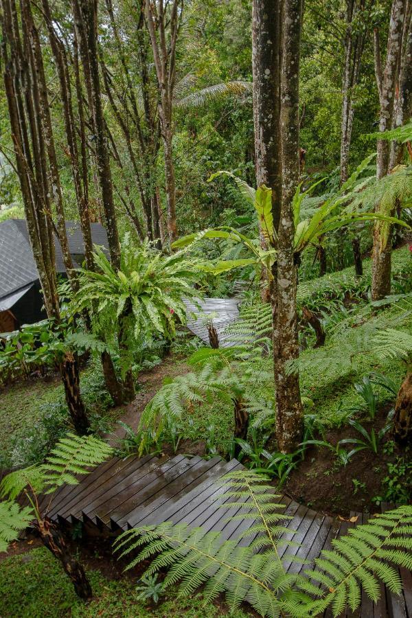 Dreamy Cliffside Bamboo With Pool And View *